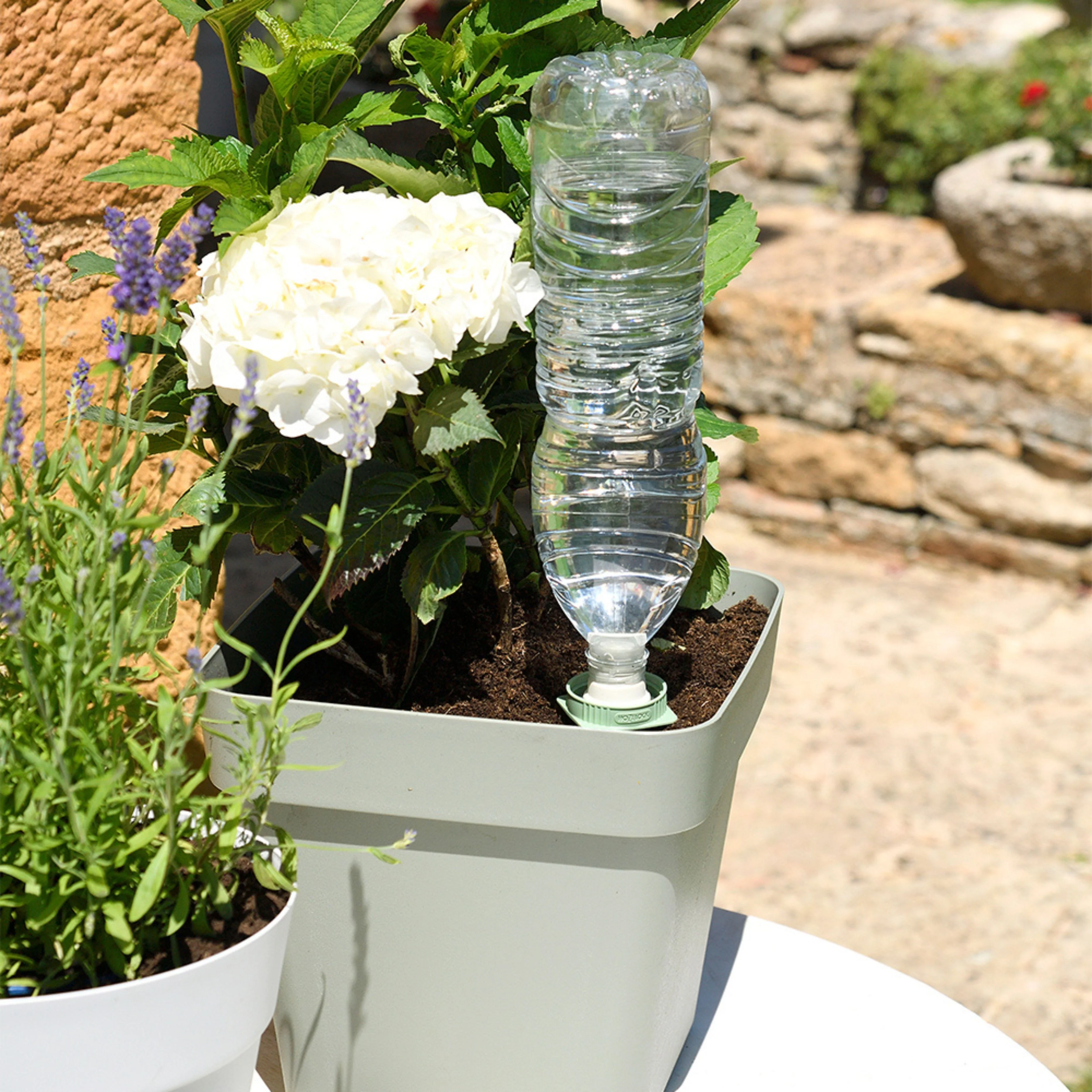 Aquasolo Universal Grey - Image 3