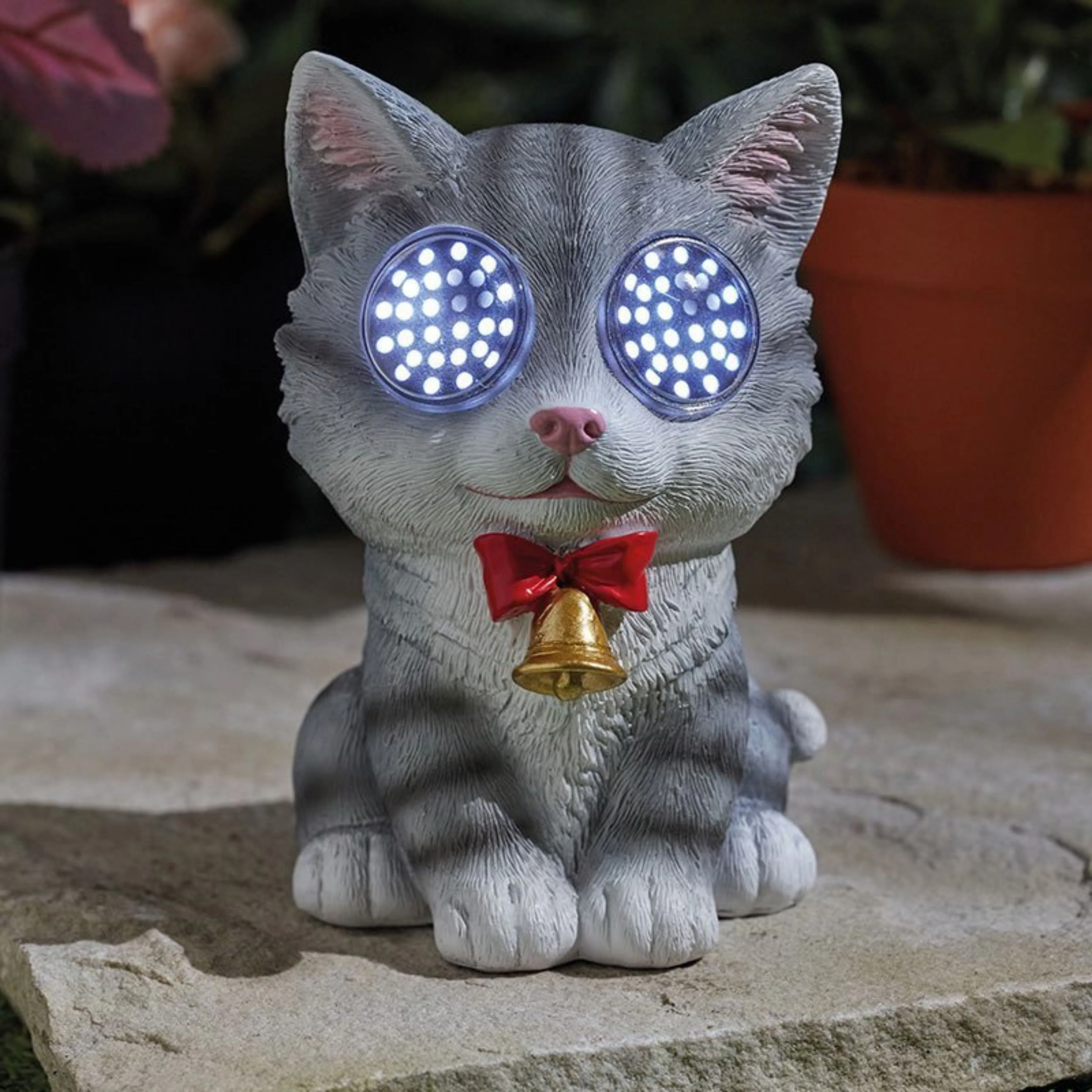Blinkin' Cat