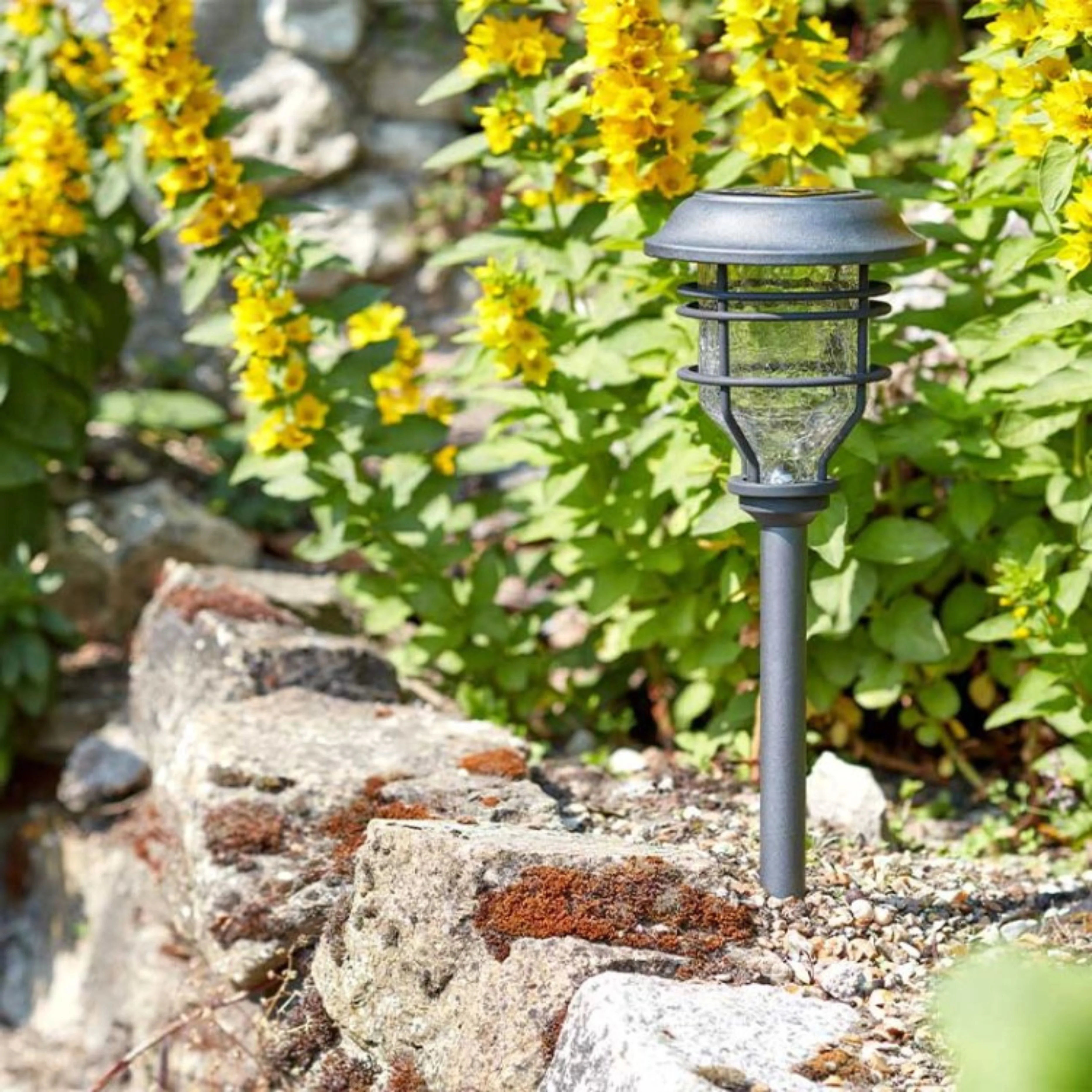 Capri Stake Light 10L - Image 2