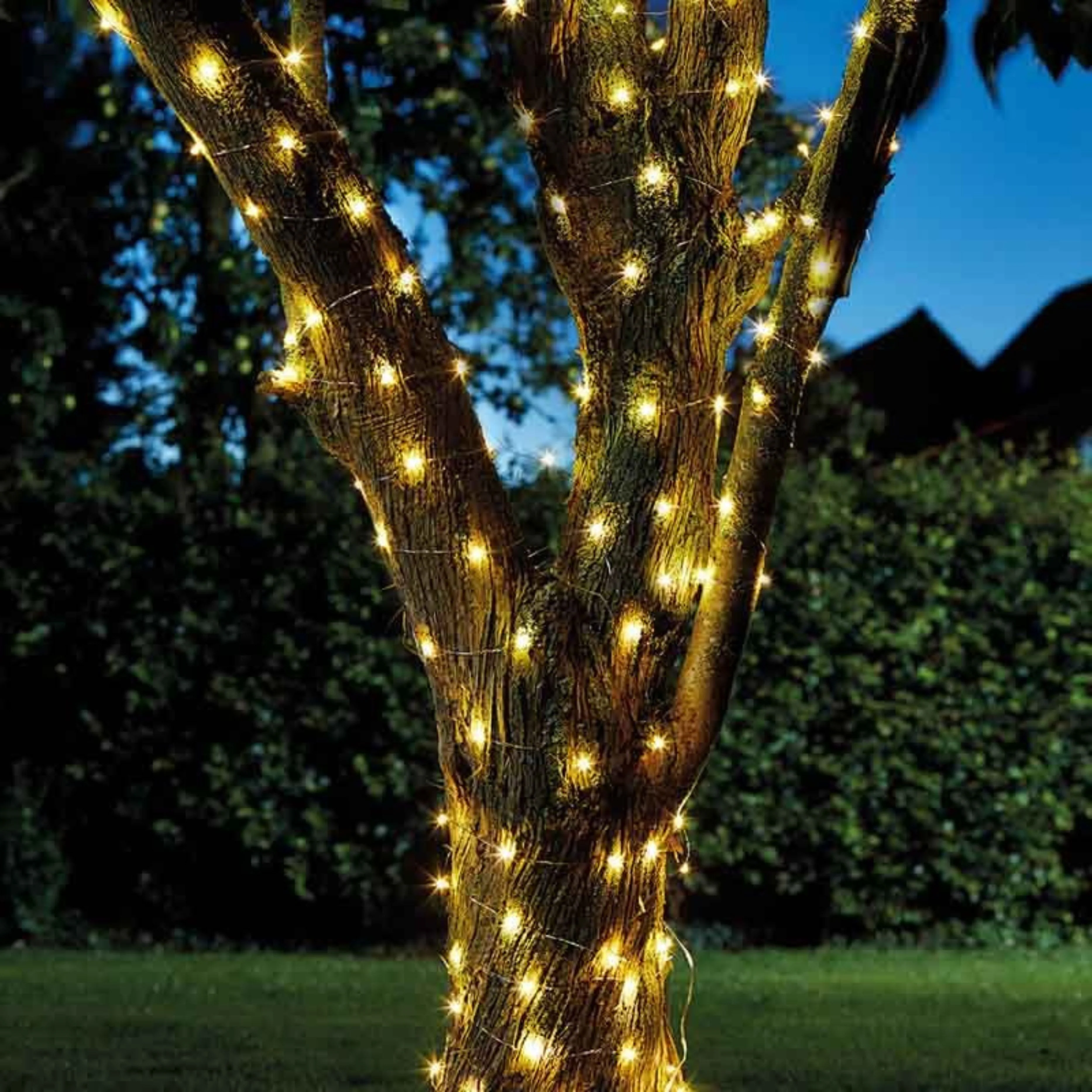 Firefly String Lights