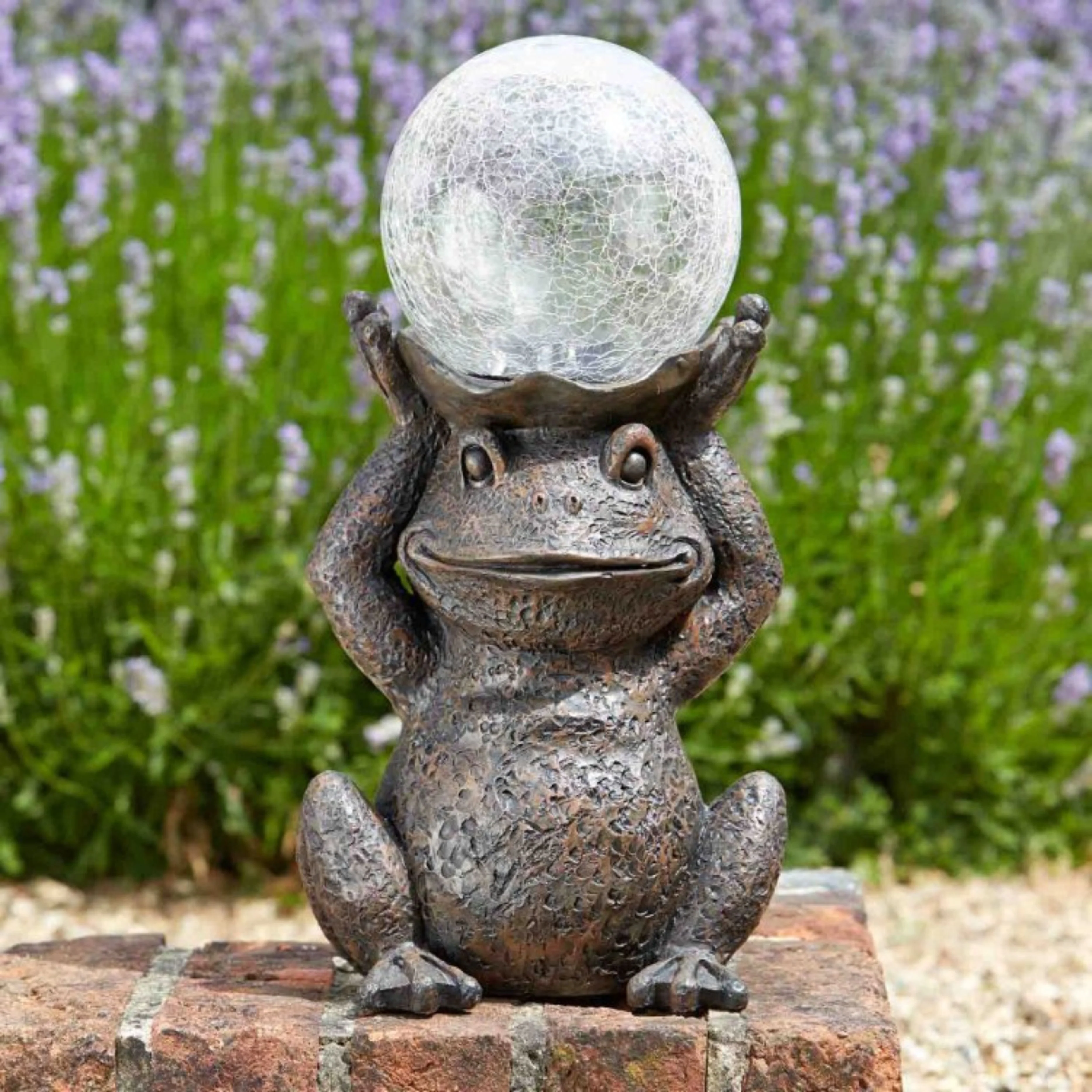 Gazing Frog - Image 2