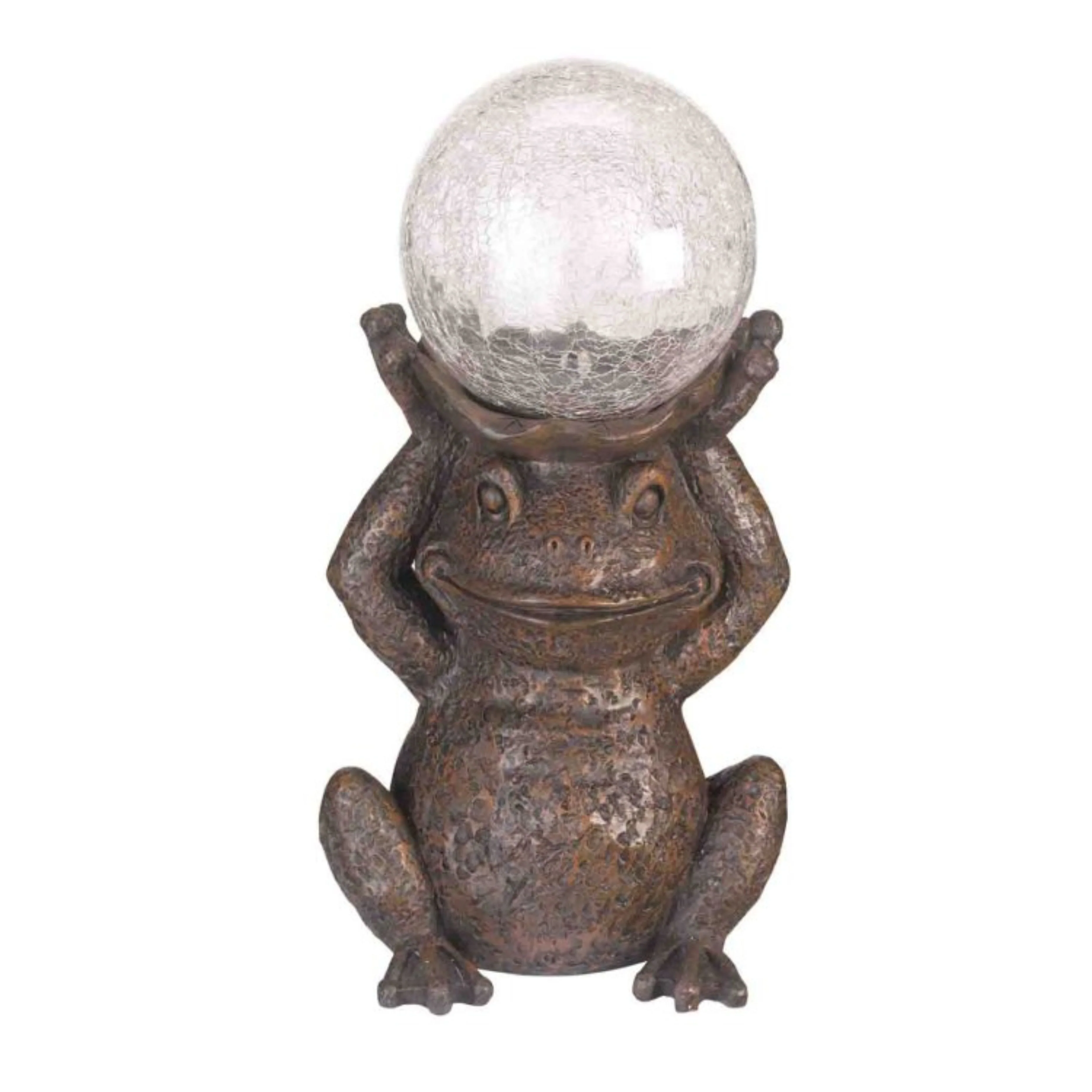 Gazing Frog - Image 3