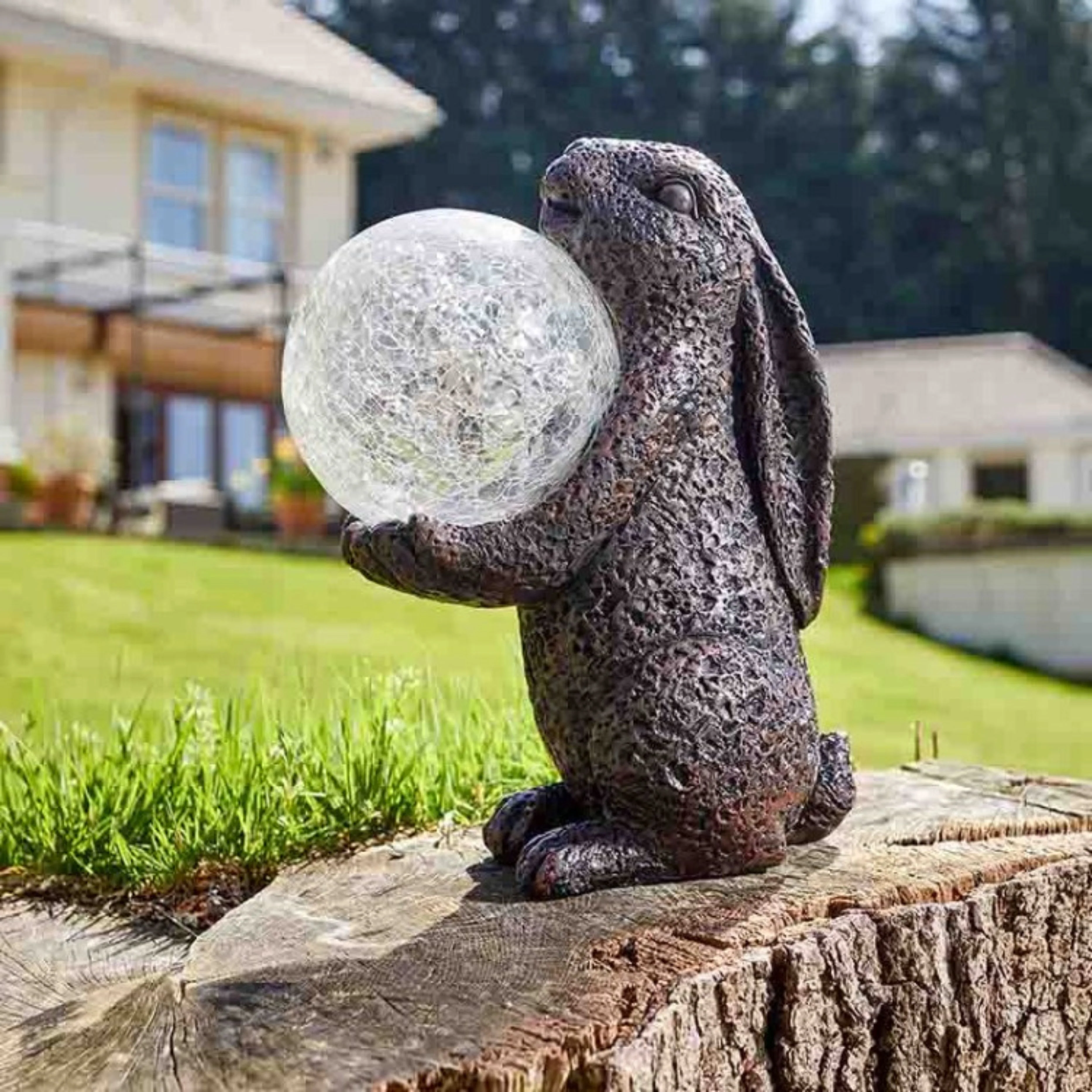 Hare Magic - Image 2