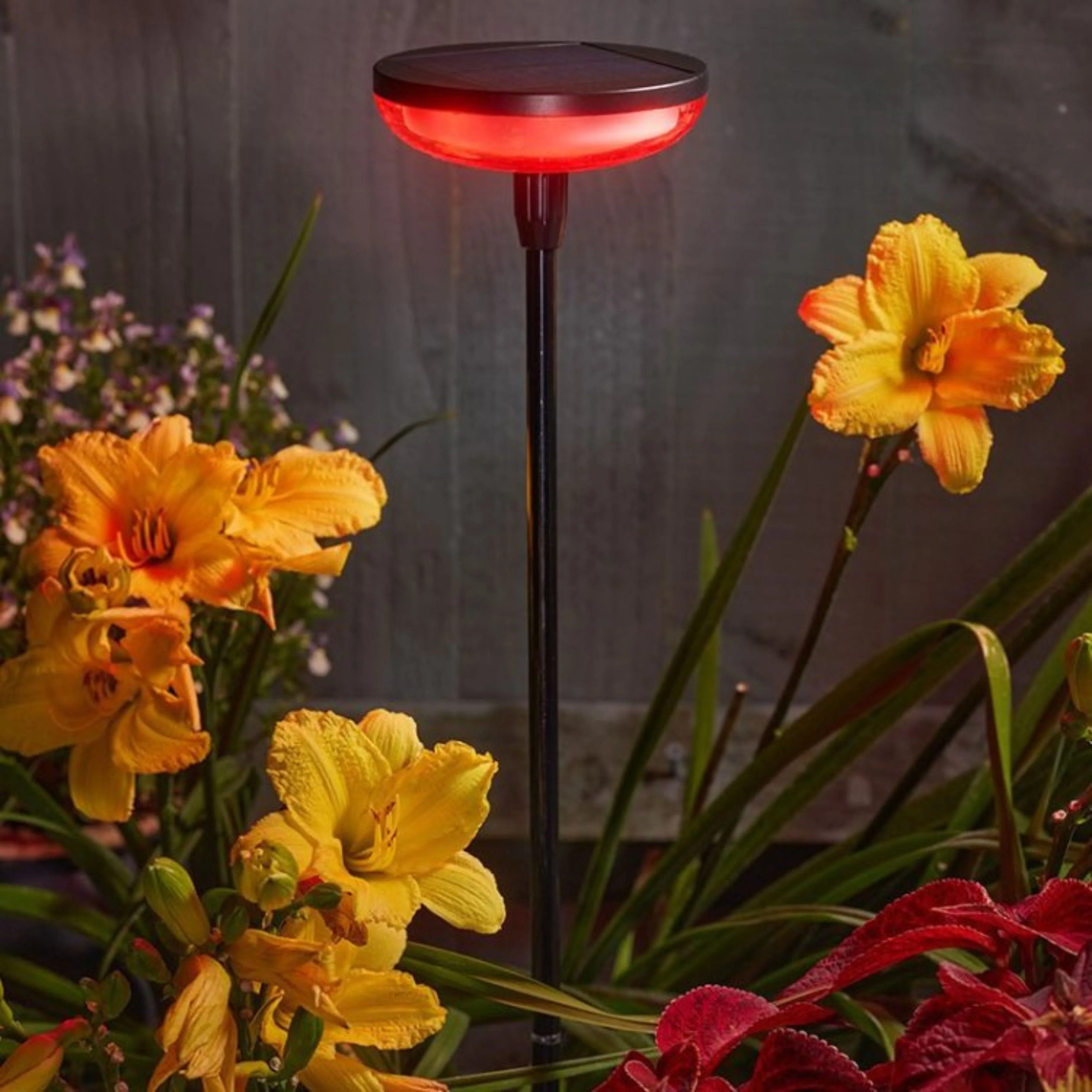 Hygge Stake Colour Changing - Image 3