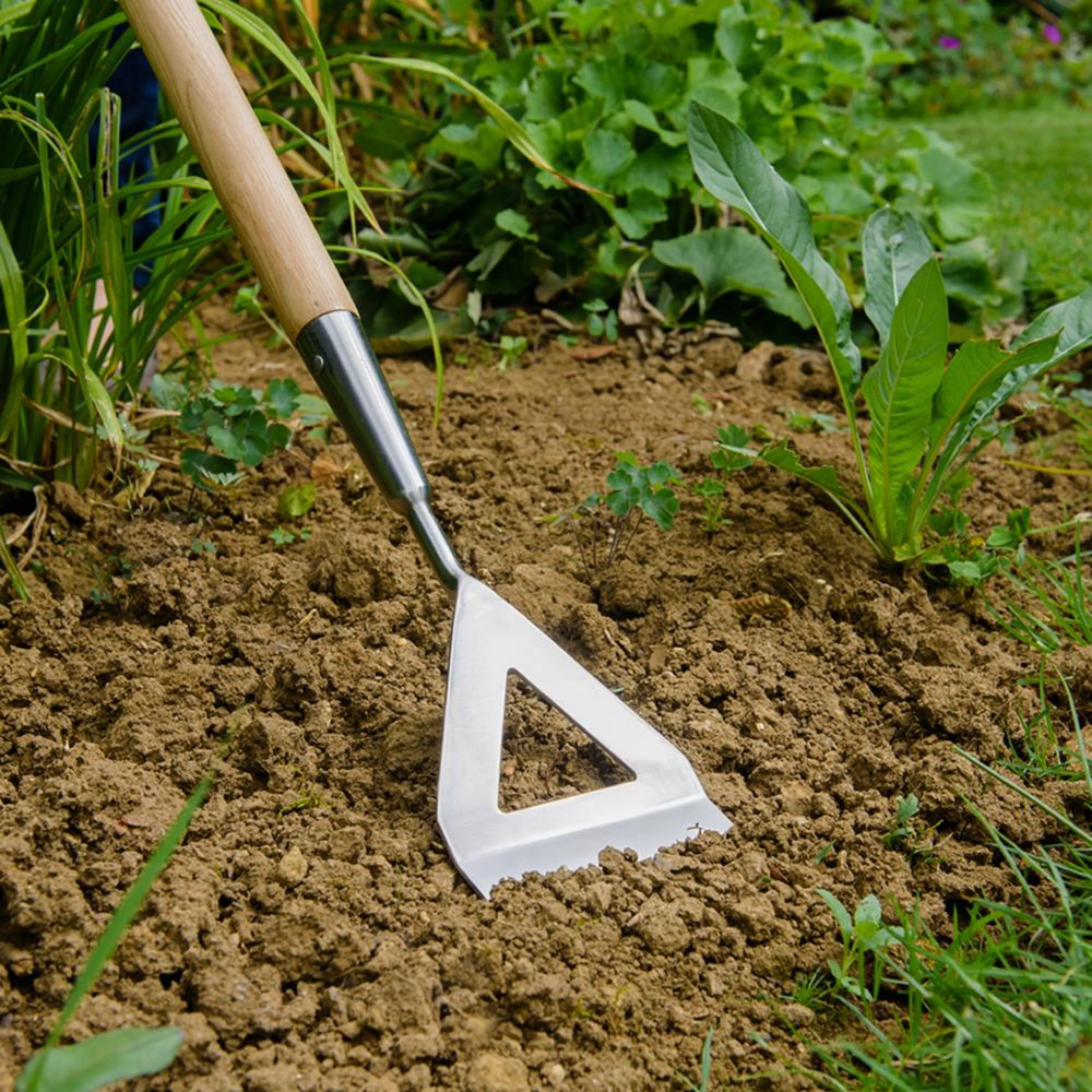 Kent & Stowe Garden Life Stainless Steel Dutch Hoe - Image 3