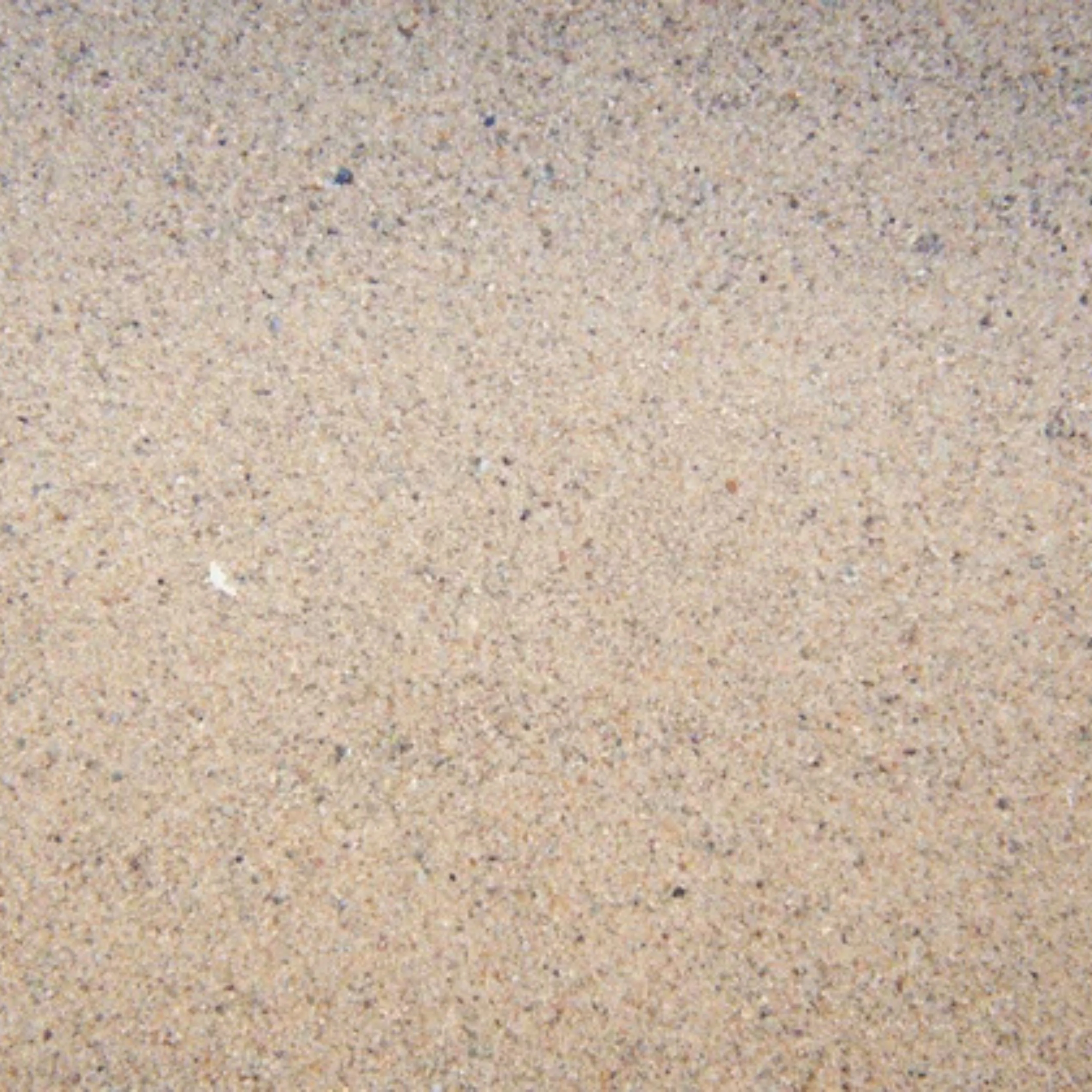 Kiln Dried Sand