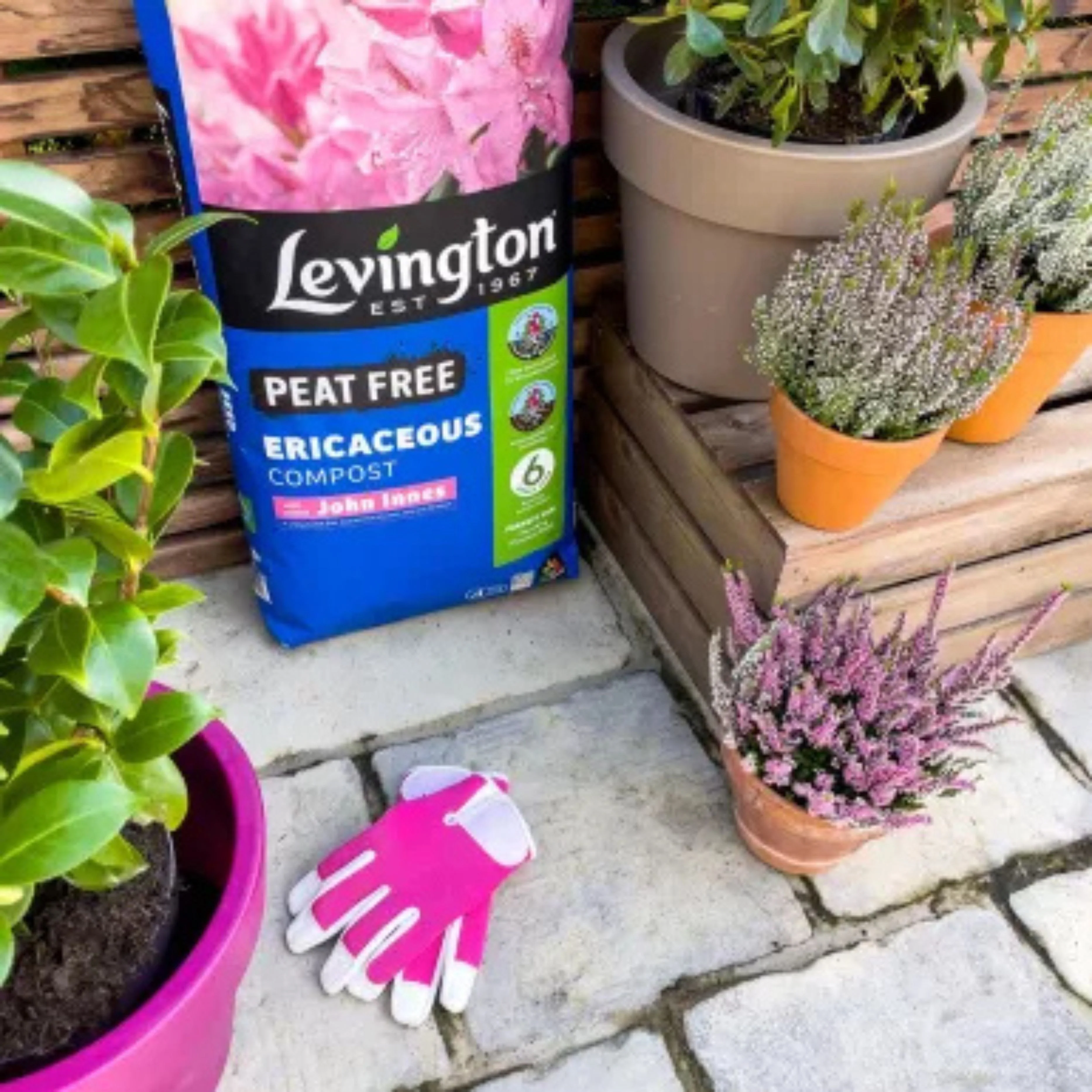 Levington 25L John Innes Ericaceous Compost - Image 2