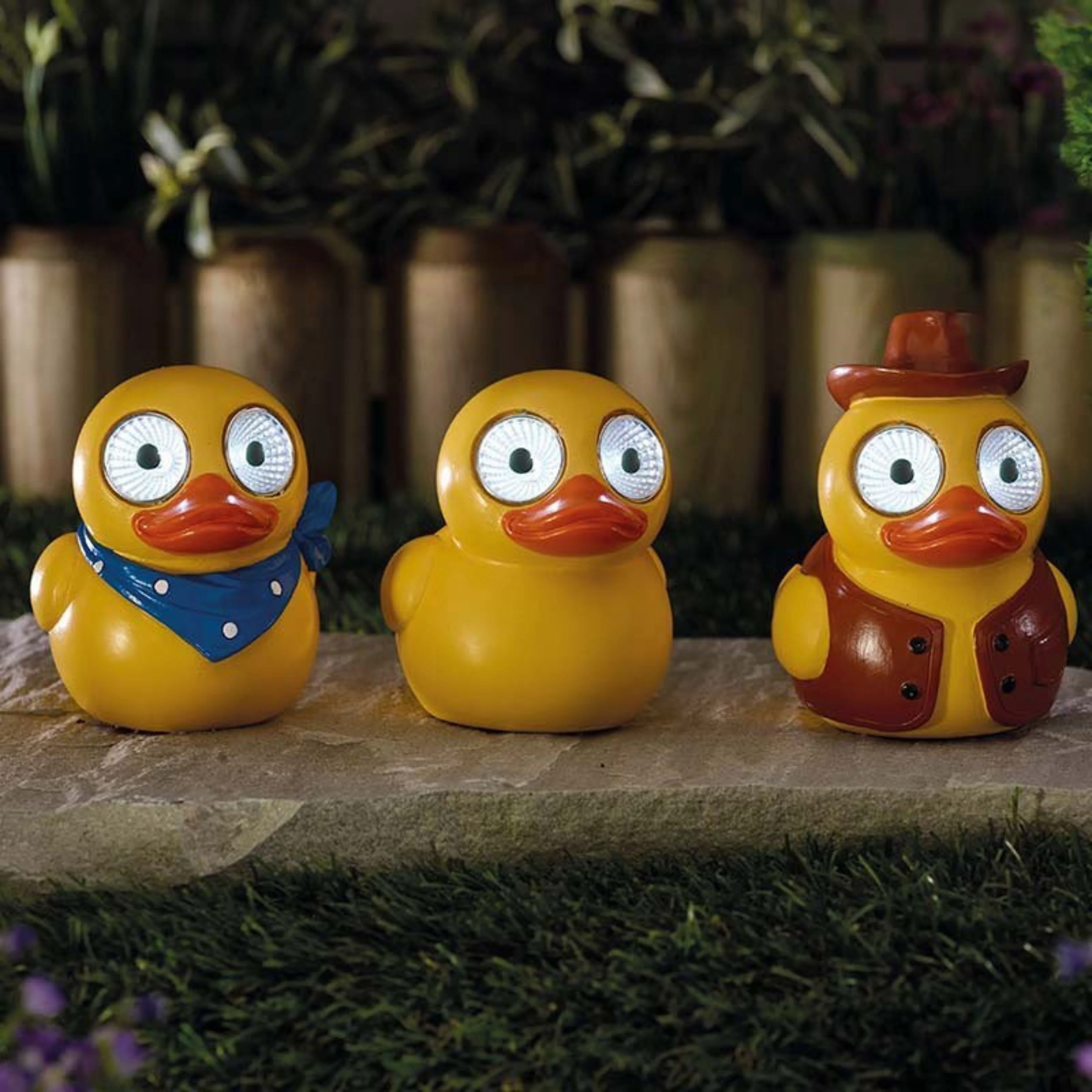 Lucky Ducky!