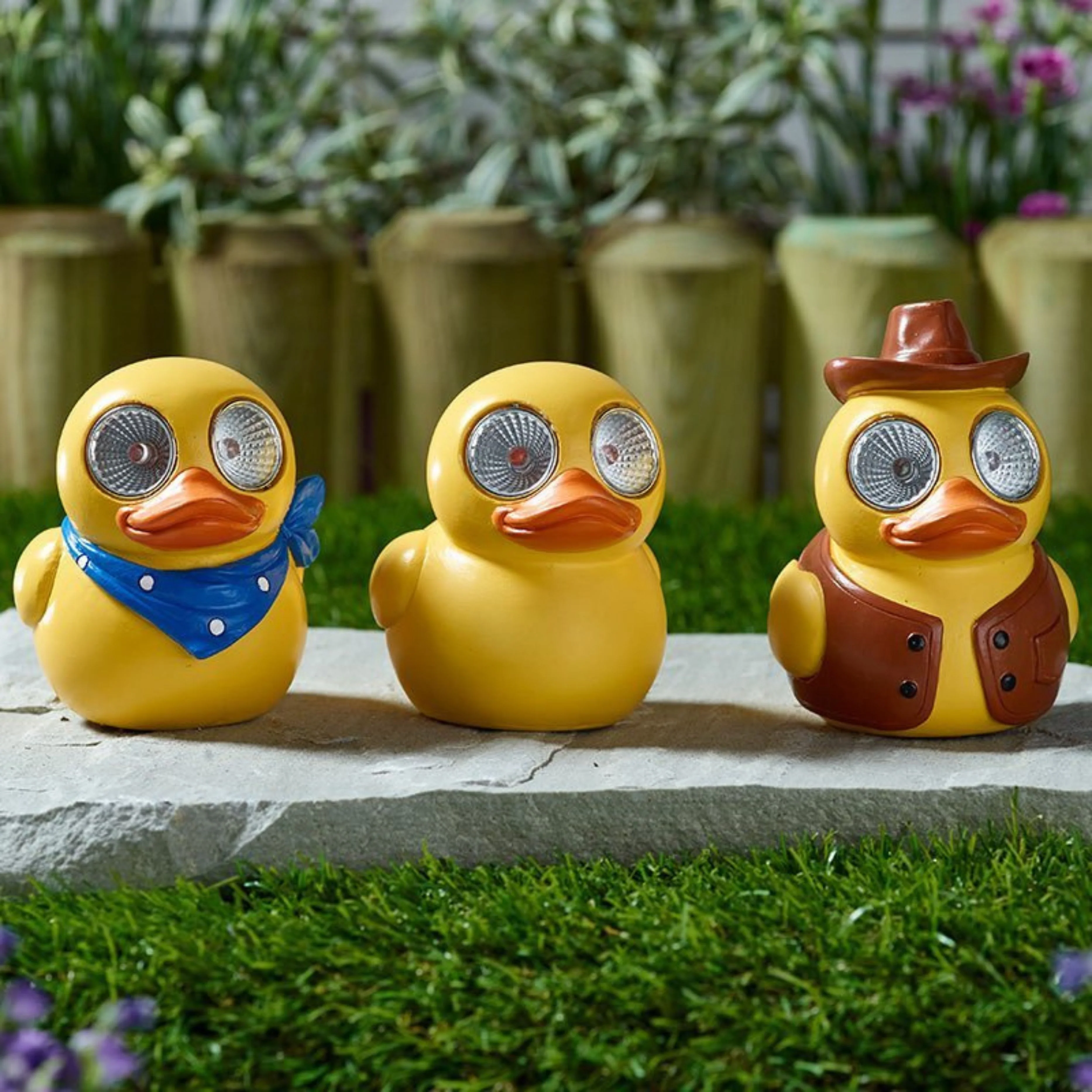 Lucky Ducky! - Image 2