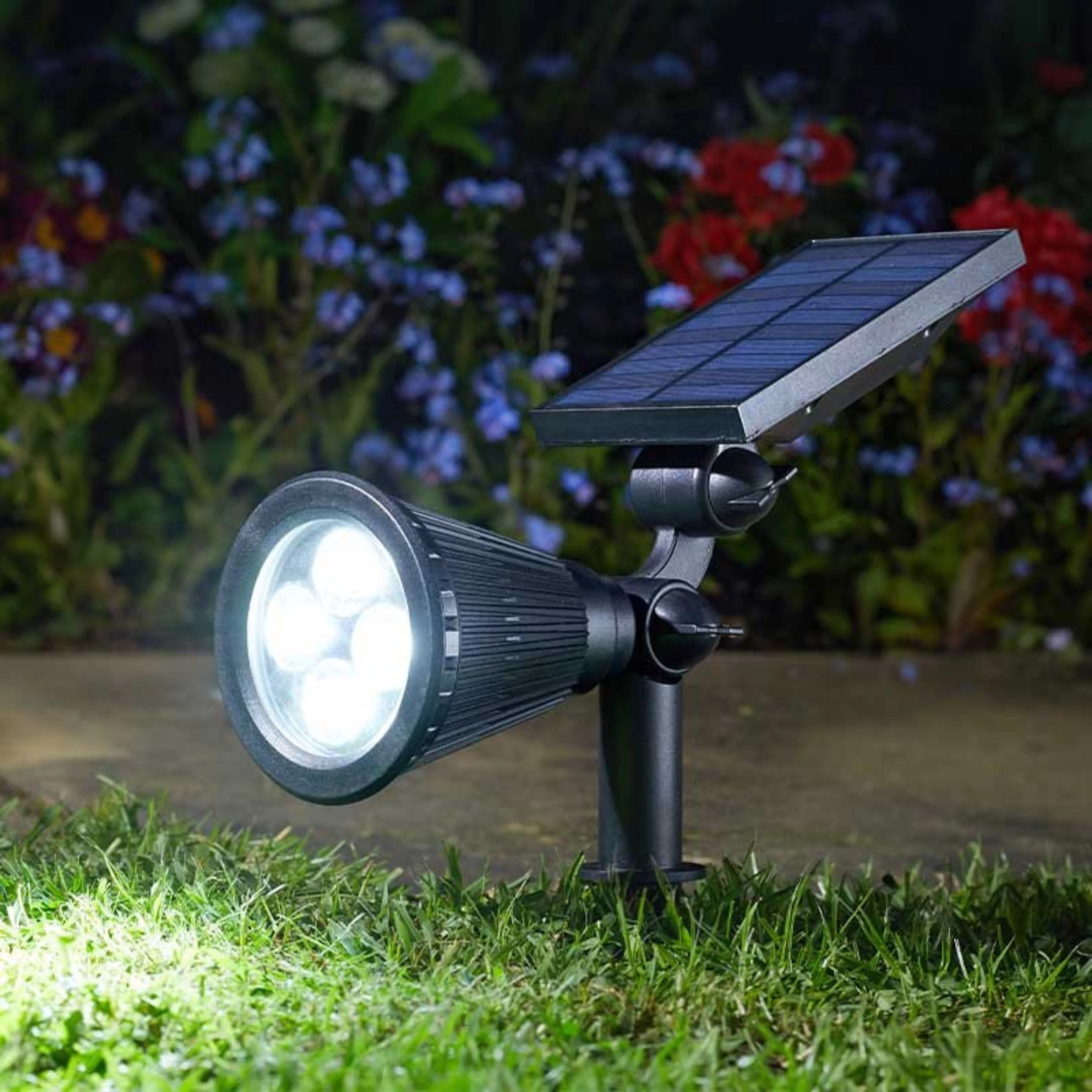 Lumi Spotlight 70L