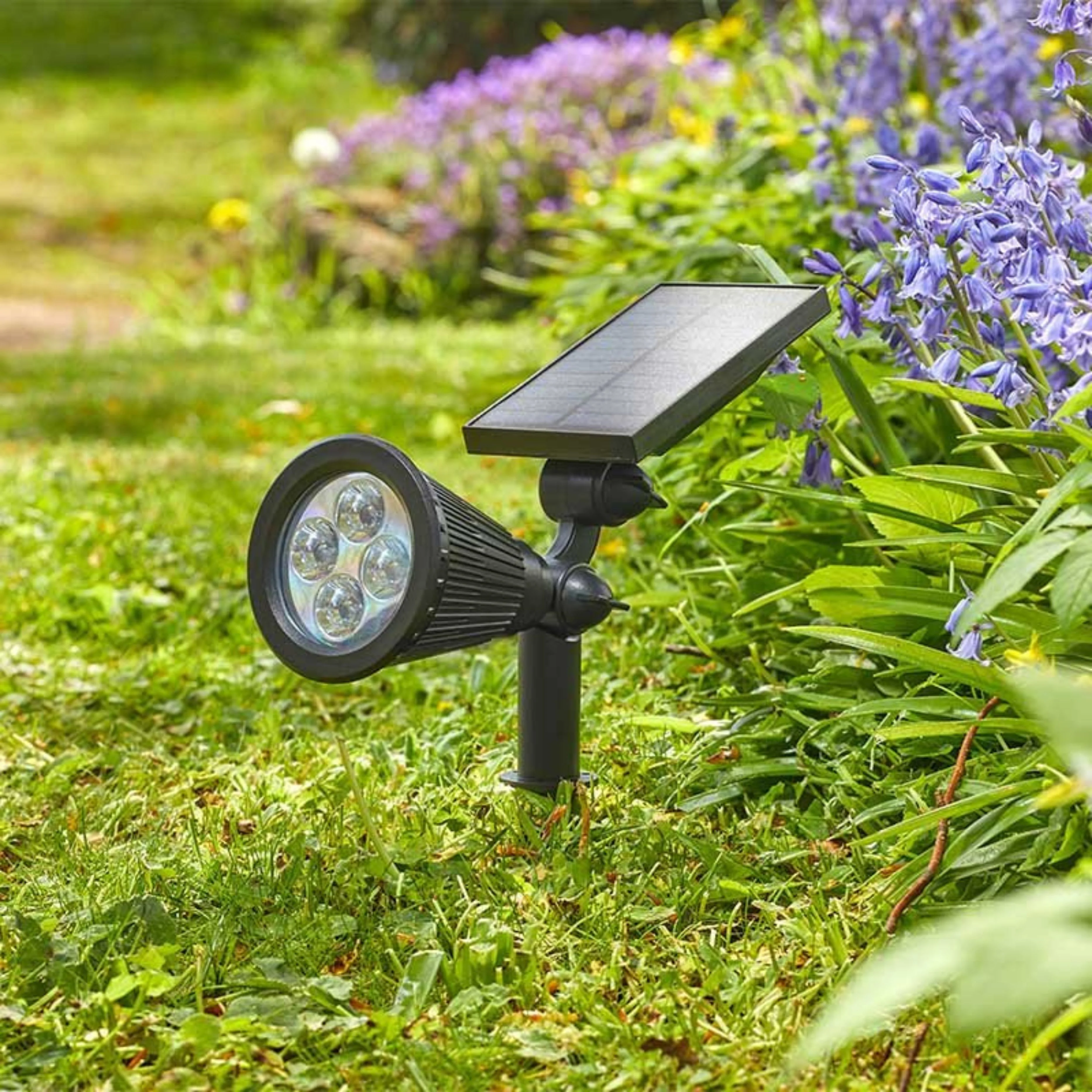 Lumi Spotlight 70L - Image 2