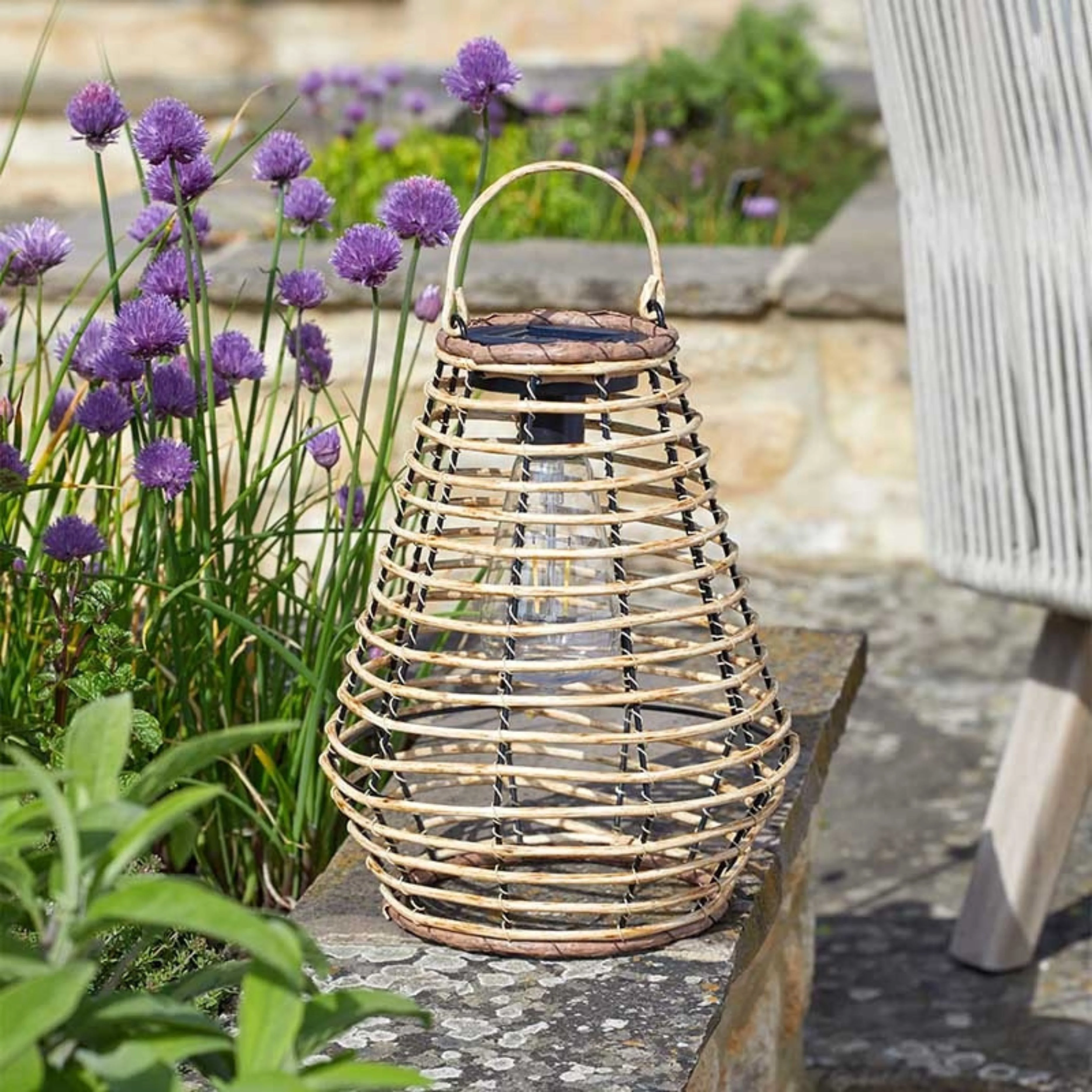 Maris Lantern - Image 2