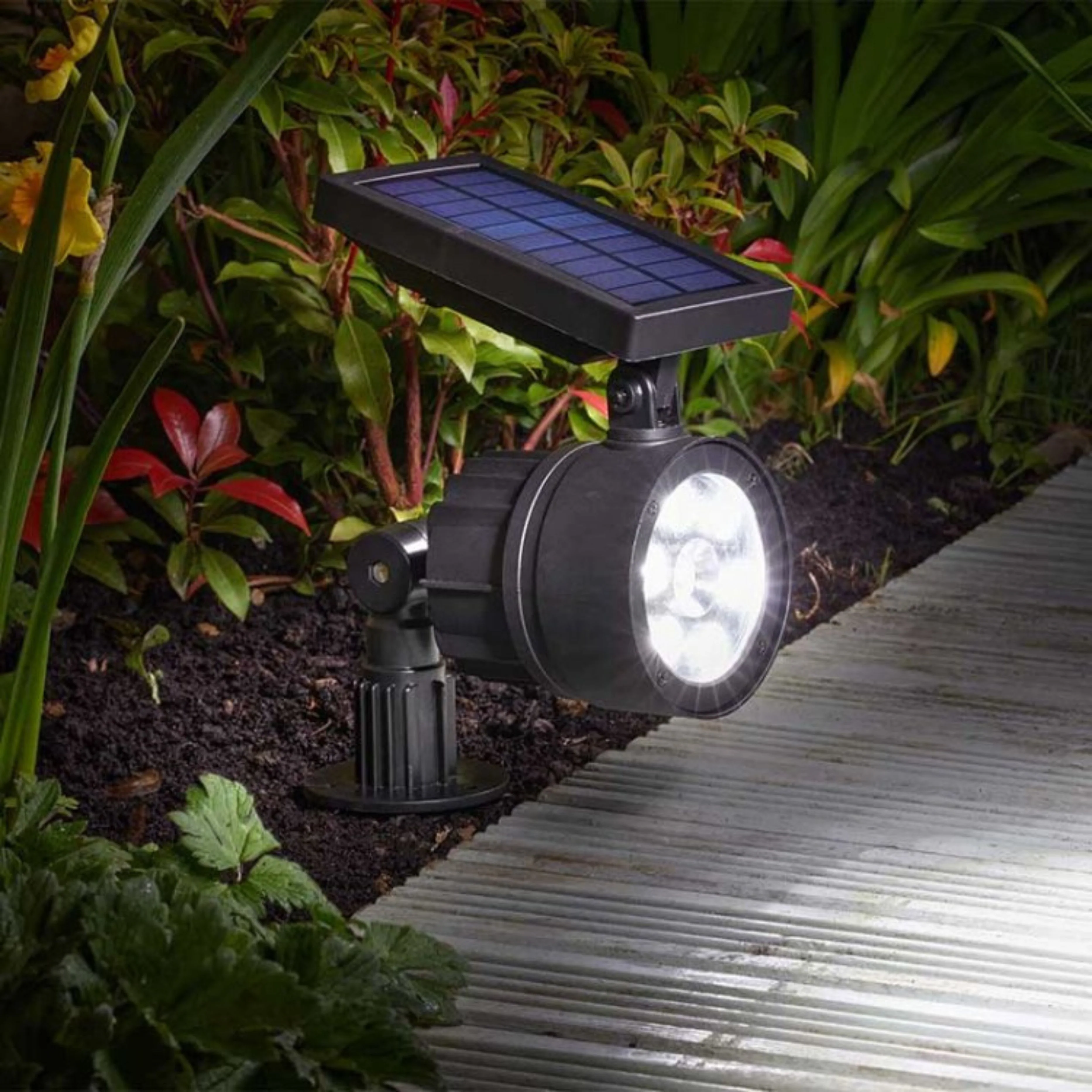 Maxi Spotlight 100L - Image 2