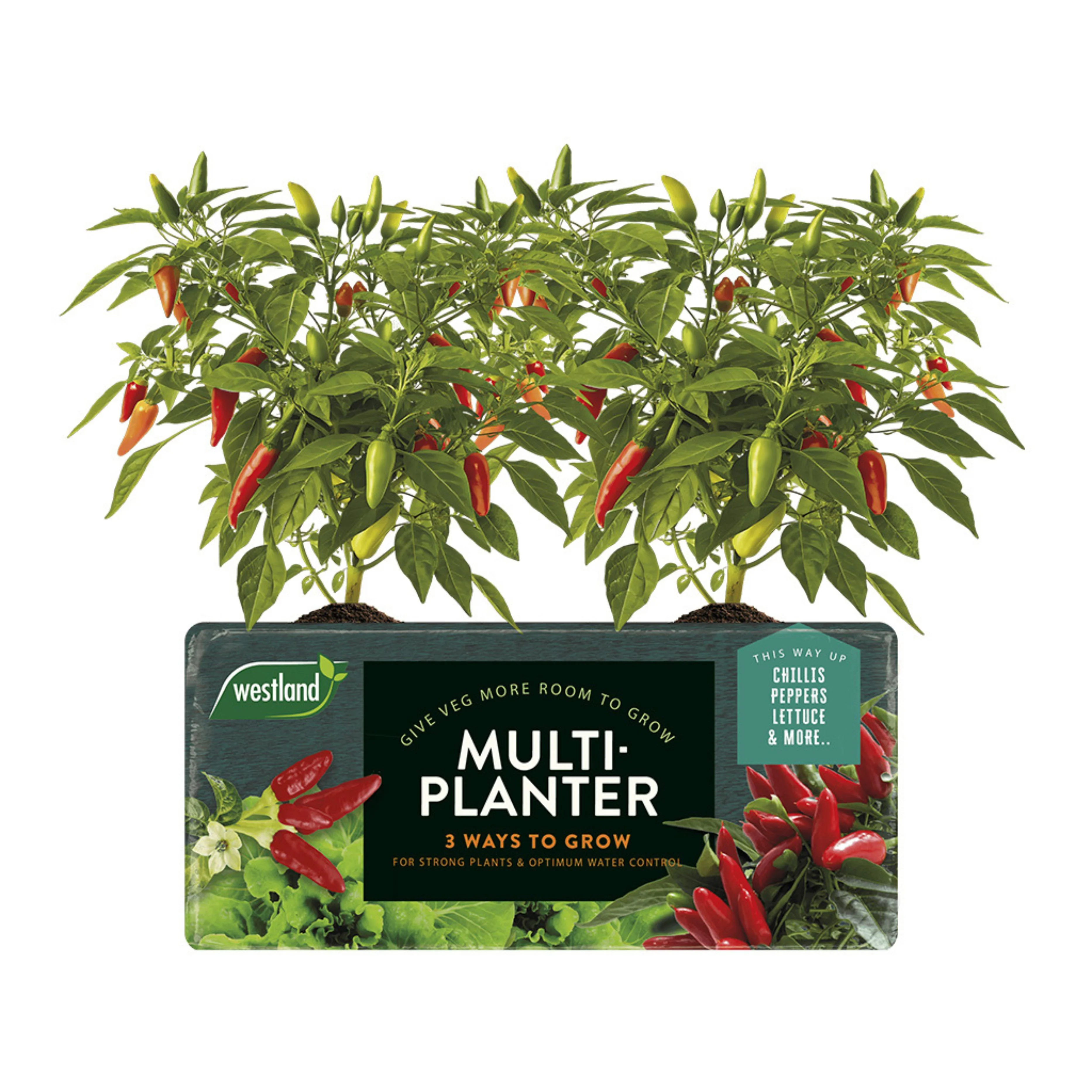 Multi-Planter Peat Free Medium - Image 3