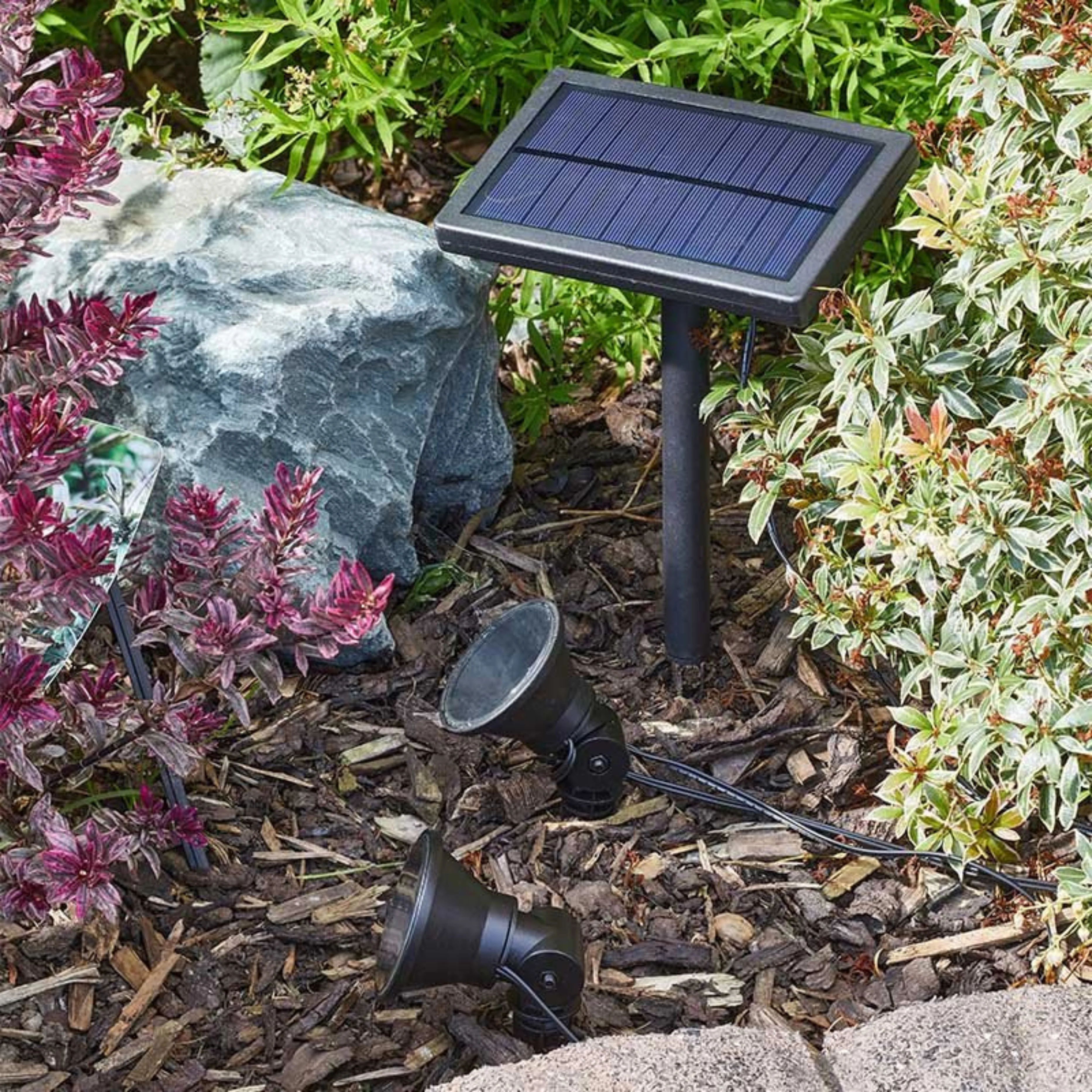 MultiSpot 5L - Image 3