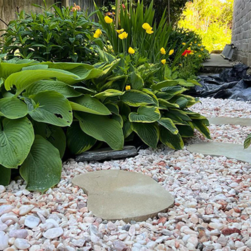 Natural Fossil Buff Paving - Image 2
