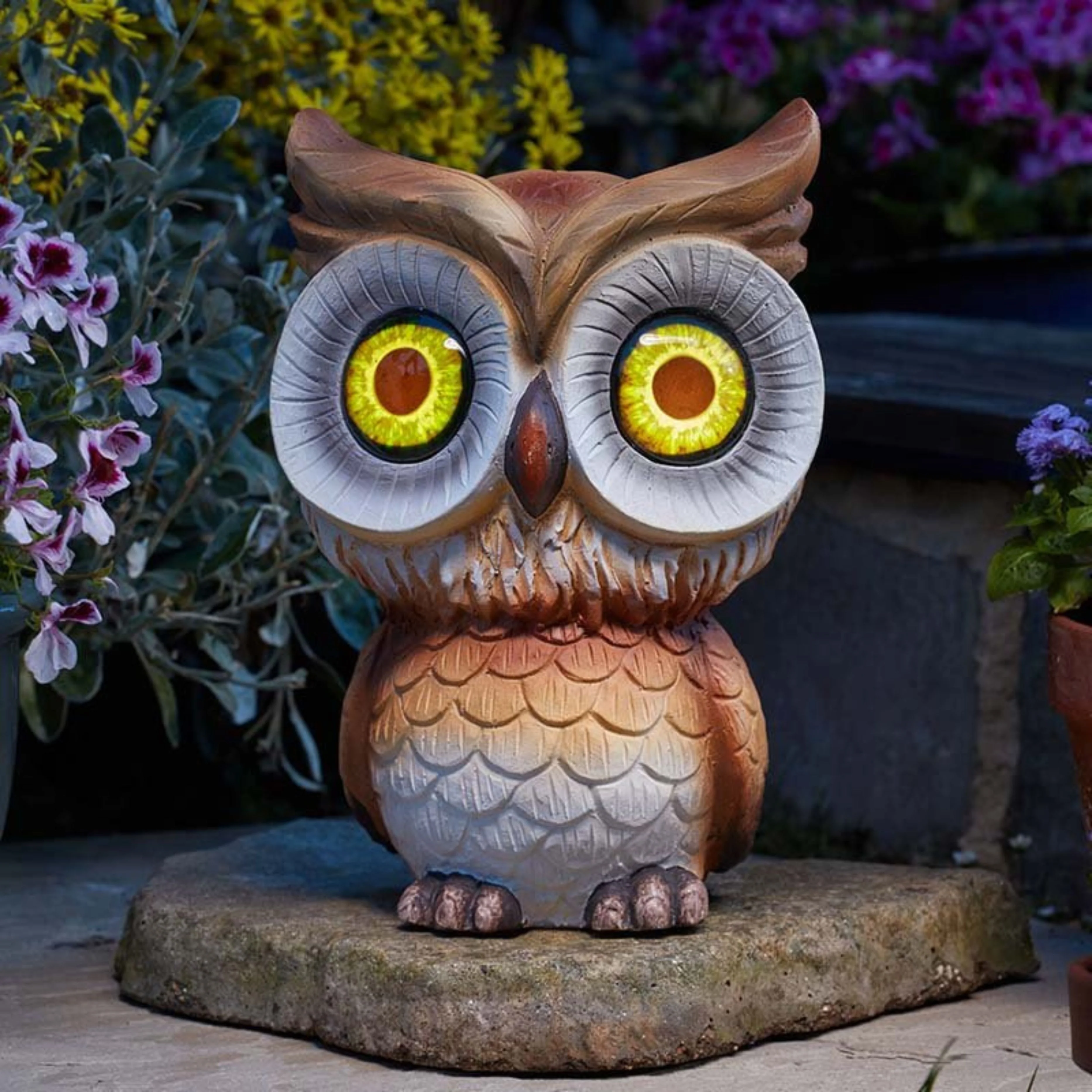 Owl Eyes