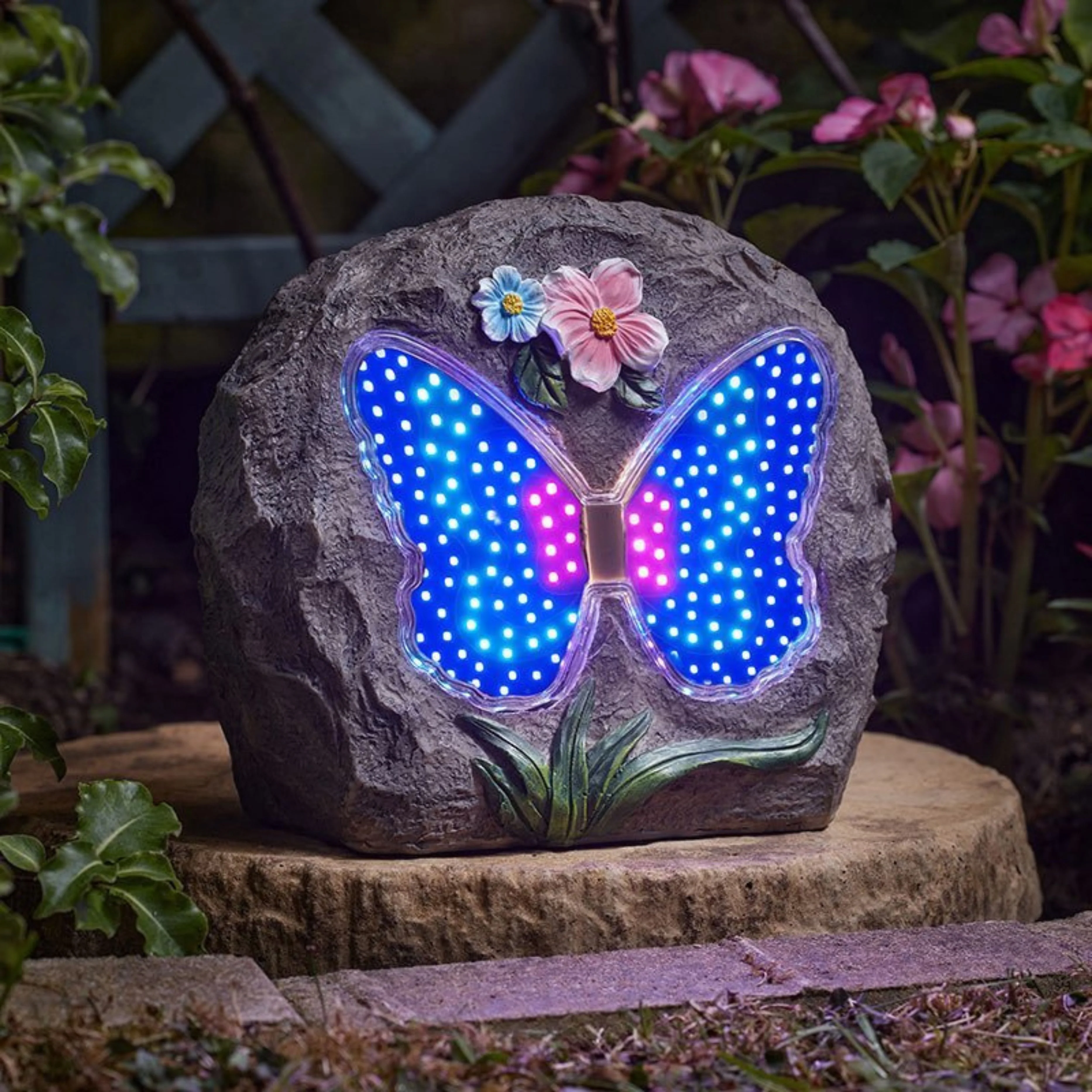 Papillon Animated Rock