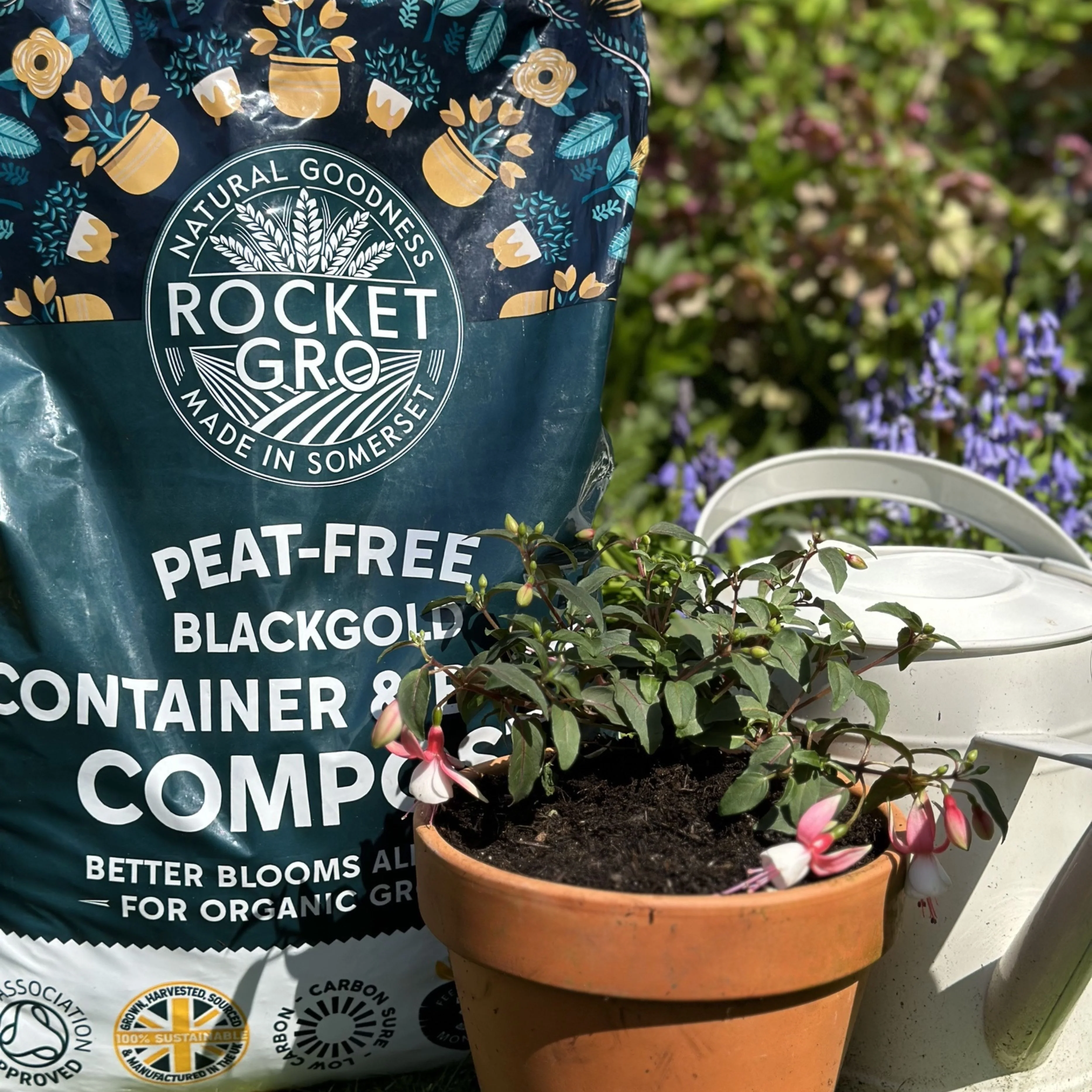 Peat-Free Container & Basket Compost - Image 2