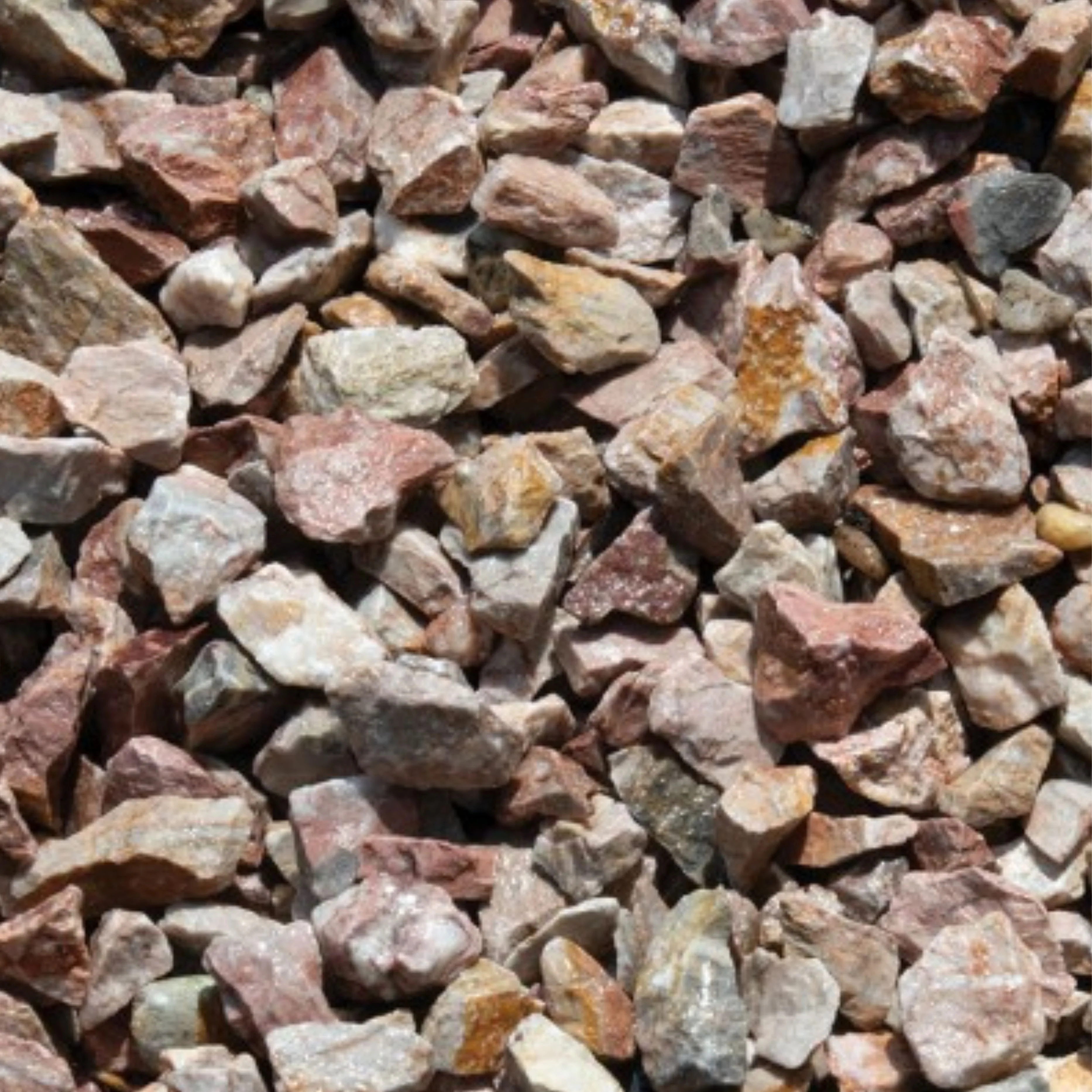 Persian Pink - Image 2