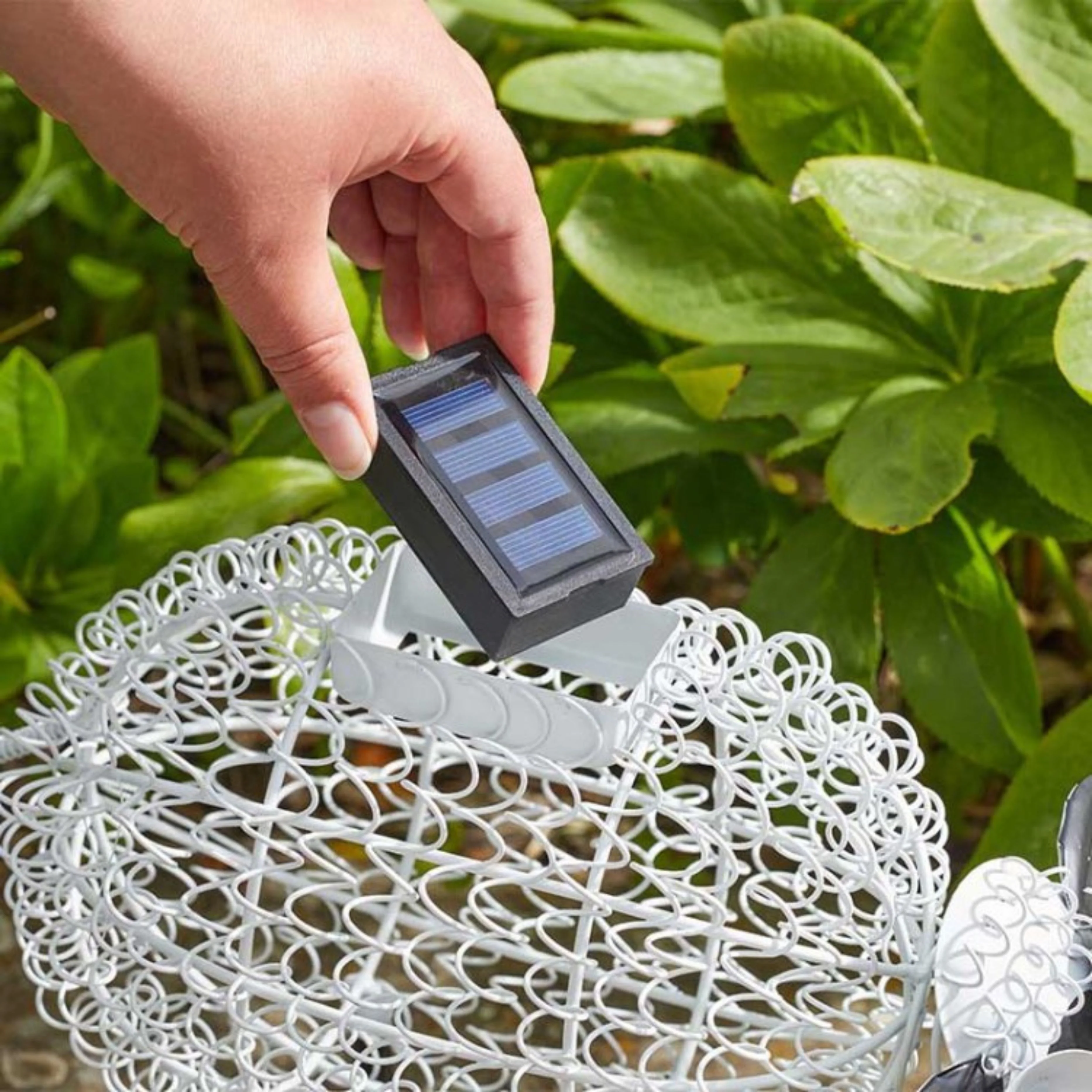 Solar Powered Light Box
